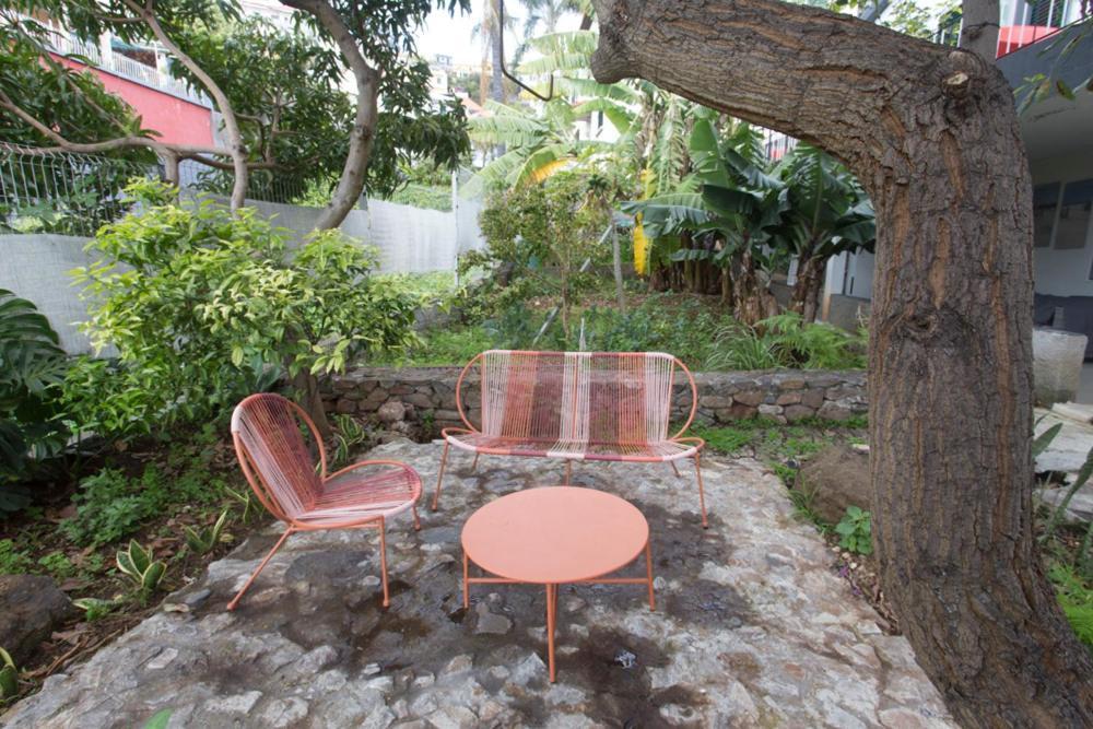 Rochinha Cozy Home Funchal  Esterno foto