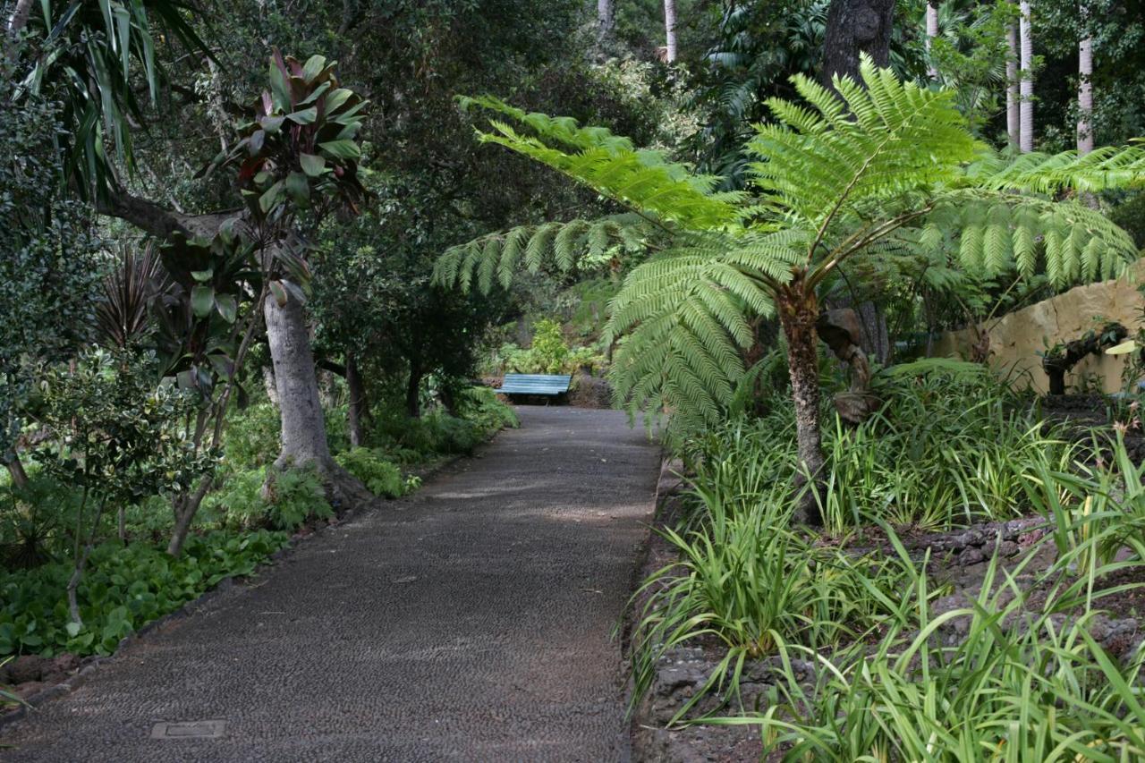 Rochinha Cozy Home Funchal  Esterno foto